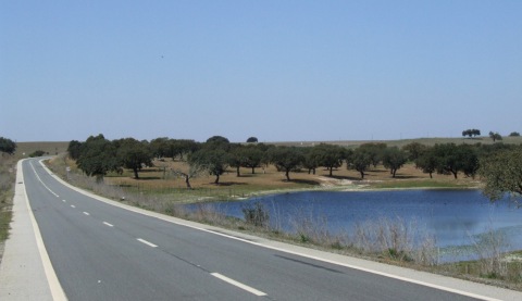 Typical empty Alentejo road - and scenery.