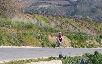 Climbing past vineyards on the way towards Merceana